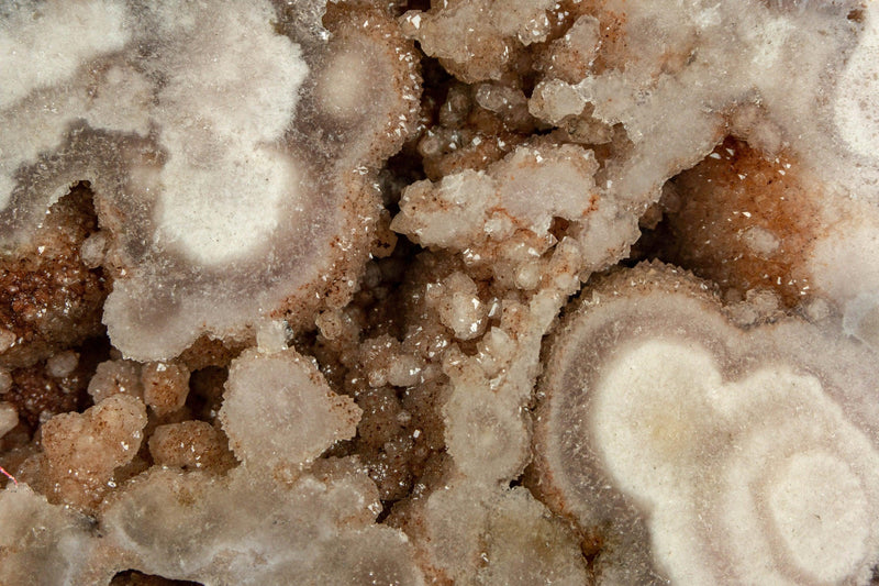 Pink and Red Amethyst Geode with Stalactite Flowers of High Aaa Quality collective