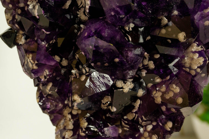 Deep Purple Amethyst Cluster with Cristobalite Inclusions, Aaa Quality collective