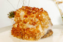 X Large Citrine Crystal Flower Stalactite, Deep Orange Color collective