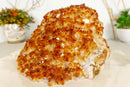 X Large Citrine Crystal Flower Stalactite, Deep Orange Color collective