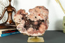 Aaa Pink Amethyst Geode with Red and Pink Amethyst Druzy, Rare collective