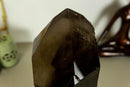 X Large Natural Dark Smoky Quartz on Stand, Raw, Aa Quality collective