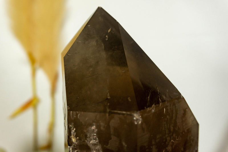 X Large Natural Dark Smoky Quartz on Stand, Raw, Aa Quality collective