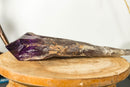 X-Large Bahia Amethyst Scepter with Phantoms, Dragon Tooth Amethyst i_did