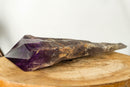 X-Large Bahia Amethyst Scepter with Phantoms, Dragon Tooth Amethyst i_did