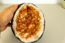 Small Citrine Crystal Geode with Stalactite Flowers, Deep Orange Citrine collective