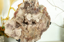 Pink Amethyst Geode Slab with Rose Amethyst Druzy collective