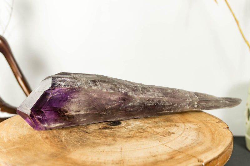 X-Large Bahia Amethyst Scepter with Phantoms, Dragon Tooth Amethyst i_did