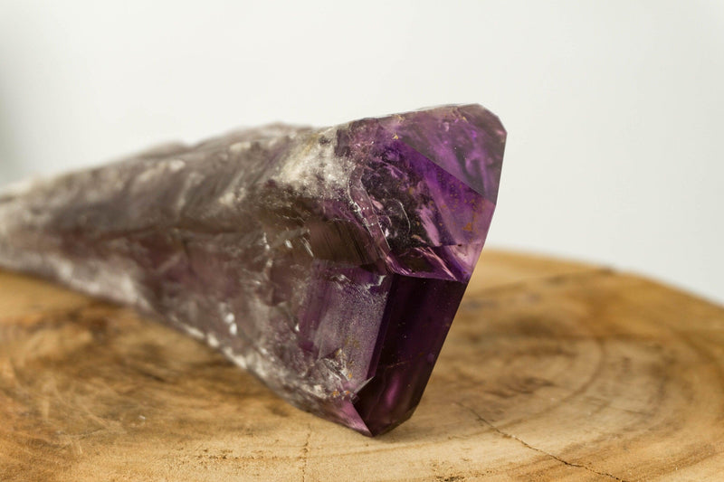 X-Large Bahia Amethyst Scepter with Phantoms, Dragon Tooth Amethyst i_did