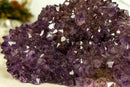 X Large Amethyst Flower Stalactite Rosette collective