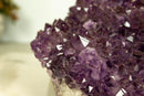 X Large Amethyst Flower Stalactite Rosette collective
