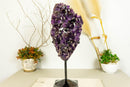 Deep Purple Amethyst Cluster with Cristobalite Inclusions, Aaa Quality collective