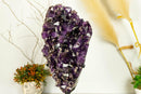 Deep Purple Amethyst Cluster with Cristobalite Inclusions, Aaa Quality collective