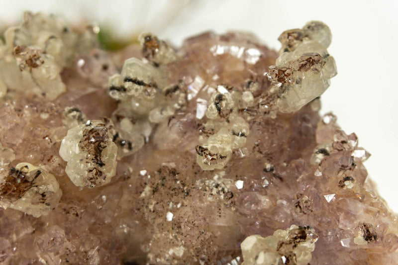 Amethyst Flower Rosette Plate Cluster with Calcite Inclusions, Collector Grade collective