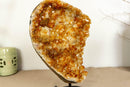 Deep Orange Citrine Cluster with Galaxy Druzy and Stalactite Flowers on Metal Stand collective
