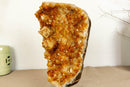 Deep Orange Citrine Cluster with Galaxy Druzy and Stalactite Flowers on Metal Stand collective