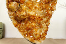 Deep Orange Citrine Cluster with Galaxy Druzy and Stalactite Flowers on Metal Stand collective