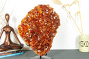Deep Orange Citrine Cluster with X Large Citrine Points, Aaa Collection Grade collective
