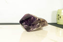 X-Large Bahia Amethyst Scepter with Phantoms, Dragon Tooth Amethyst i_did