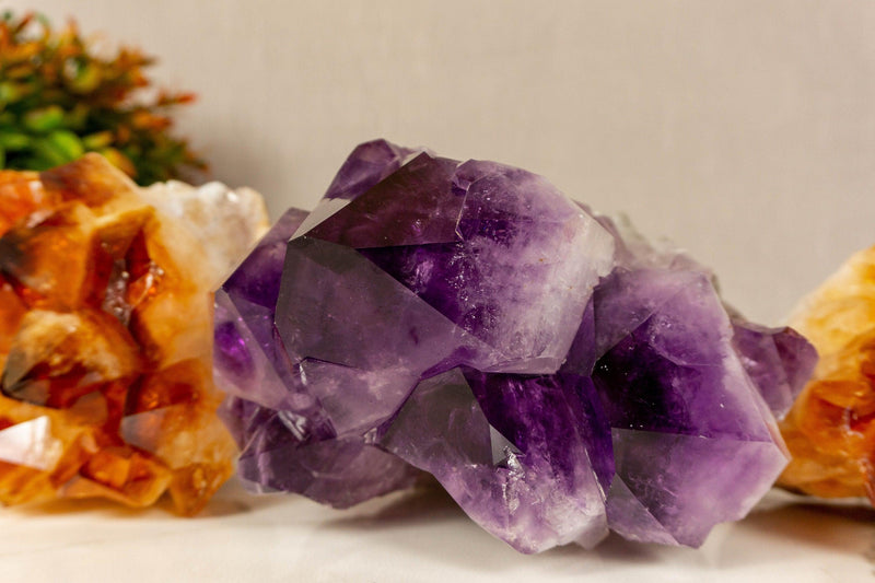 Set of Aaa Amethyst and Citrine Clusters with X Large Points collective