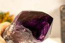 X-Large Bahia Amethyst Scepter with Phantoms, Aaa Quality i_did