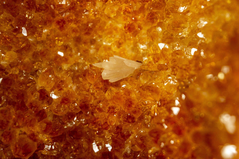 Citrine Crystal Geode with Flowers and Calcite | E2D i_did