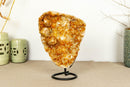 Deep Orange Citrine Cluster with Galaxy Druzy and Stalactite Flowers on Metal Stand collective