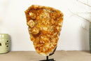 Deep Orange Citrine Cluster with Galaxy Druzy and Stalactite Flowers on Metal Stand collective