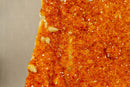 Deep Orange Citrine Cluster, High Quality with Galaxy Druzy Citrine Crystal collective