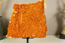 Deep Orange Citrine Cluster, High Quality with Galaxy Druzy Citrine Crystal collective