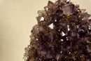 Amethyst Flower Rosette Cluster with Calcite Inclusions, Collector Grade collective