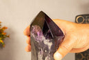 X-Large Bahia Amethyst Scepter with Phantoms, Aaa Quality i_did