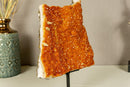 Deep Orange Citrine Cluster, High Quality with Galaxy Druzy Citrine Crystal collective