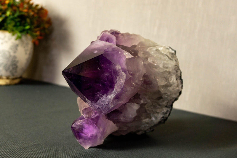 Deep Purple Amethyst Cluster with Extra Large Amethyst Points, Aaa Grade collective