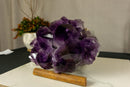 Amethyst Cluster with Extra Large Deep Purple Amethyst Points, Aaa Quality collective