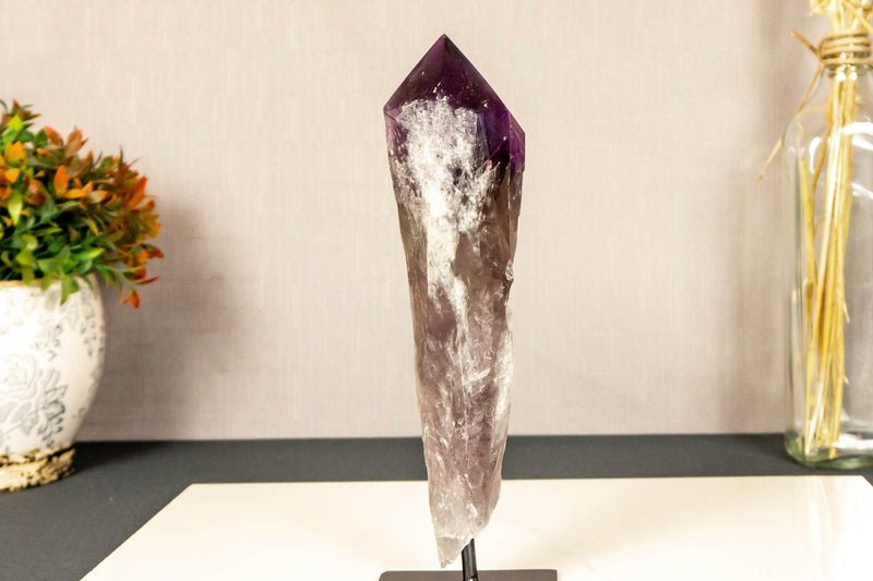 X-Large Bahia Amethyst Scepter with Phantoms on Display, Dragon Tooth Amethyst i_did