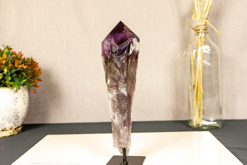 X-Large Bahia Amethyst Scepter with Phantoms on Display, Dragon Tooth Amethyst i_did