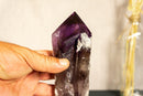X-Large Bahia Amethyst Scepter with Phantoms on Display, Dragon Tooth Amethyst i_did