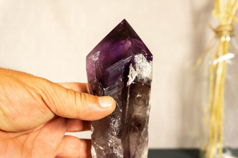 X-Large Bahia Amethyst Scepter with Phantoms on Display, Dragon Tooth Amethyst i_did