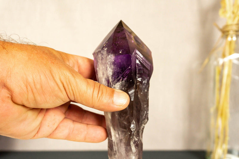 X-Large Bahia Amethyst Scepter with Phantoms on Display, Dragon Tooth Amethyst i_did