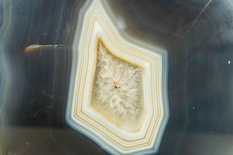 Lace Agate Geode Slice with Blue and White Banded Agate collective