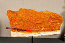 Deep Orange Citrine Cluster with Galaxy Druzy on Metal Stand collective