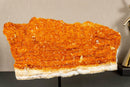 Deep Orange Citrine Cluster with Galaxy Druzy on Metal Stand collective
