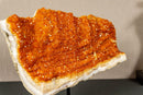 Deep Orange Citrine Cluster with Galaxy Druzy on Metal Stand collective