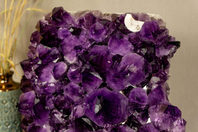 Amethyst Cluster with Extra Large and Deep Purple Amethyst Points, Aaa Quality collective