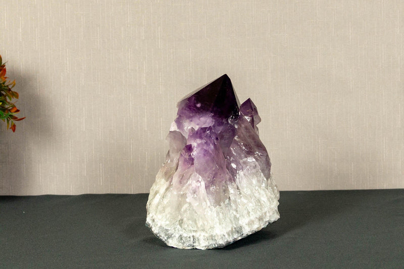 Deep Purple Amethyst Cluster with Extra Large Amethyst Points, Aaa Grade collective
