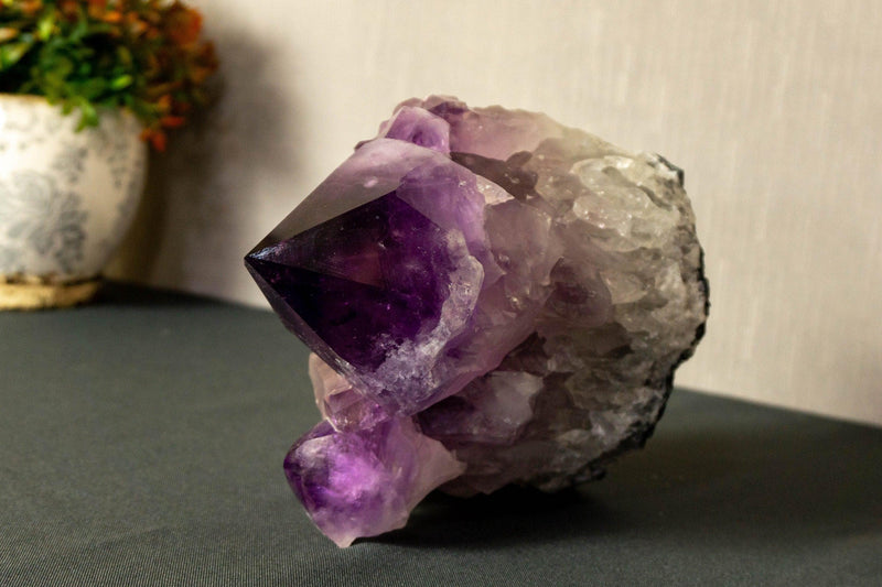 Deep Purple Amethyst Cluster with Extra Large Amethyst Points, Aaa Grade collective