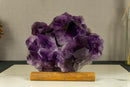 Amethyst Cluster with Extra Large Deep Purple Amethyst Points, Aaa Quality collective