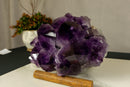 Amethyst Cluster with Extra Large Deep Purple Amethyst Points, Aaa Quality collective
