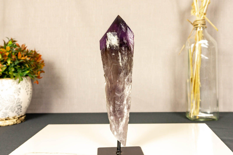 X-Large Bahia Amethyst Scepter with Phantoms on Display, Dragon Tooth Amethyst i_did